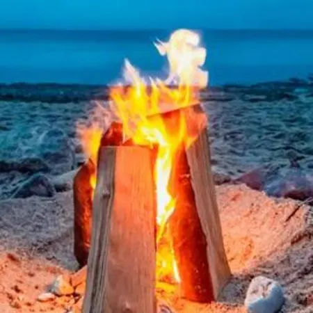 Fuer Individualisten In Gemeinde Scharbeutz, Auch Allergiker Bed & Breakfast