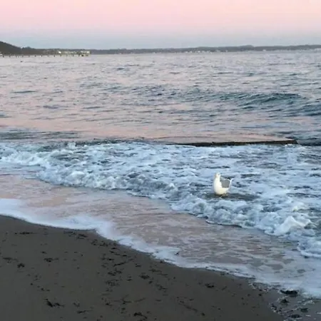 Fuer Individualisten In Gemeinde Scharbeutz, Auch Allergiker Отель типа 