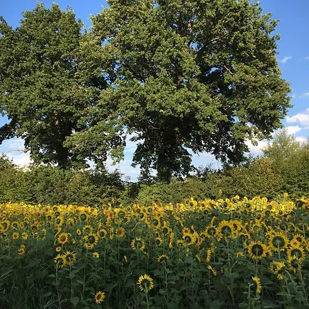 Bed & Breakfast Bed & Breakfast Fuer Individualisten In Gemeinde Scharbeutz, Auch Allergiker
